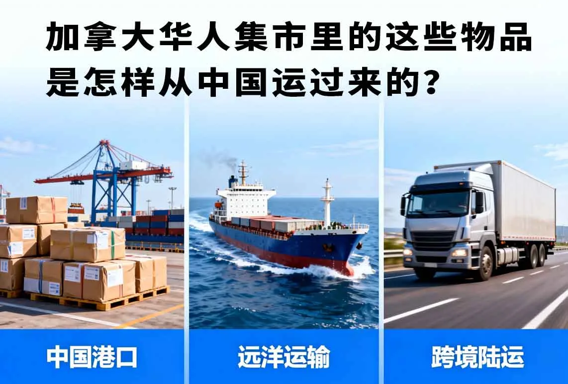 加拿大华人集市里的这些物品是怎样从中国运过来的？