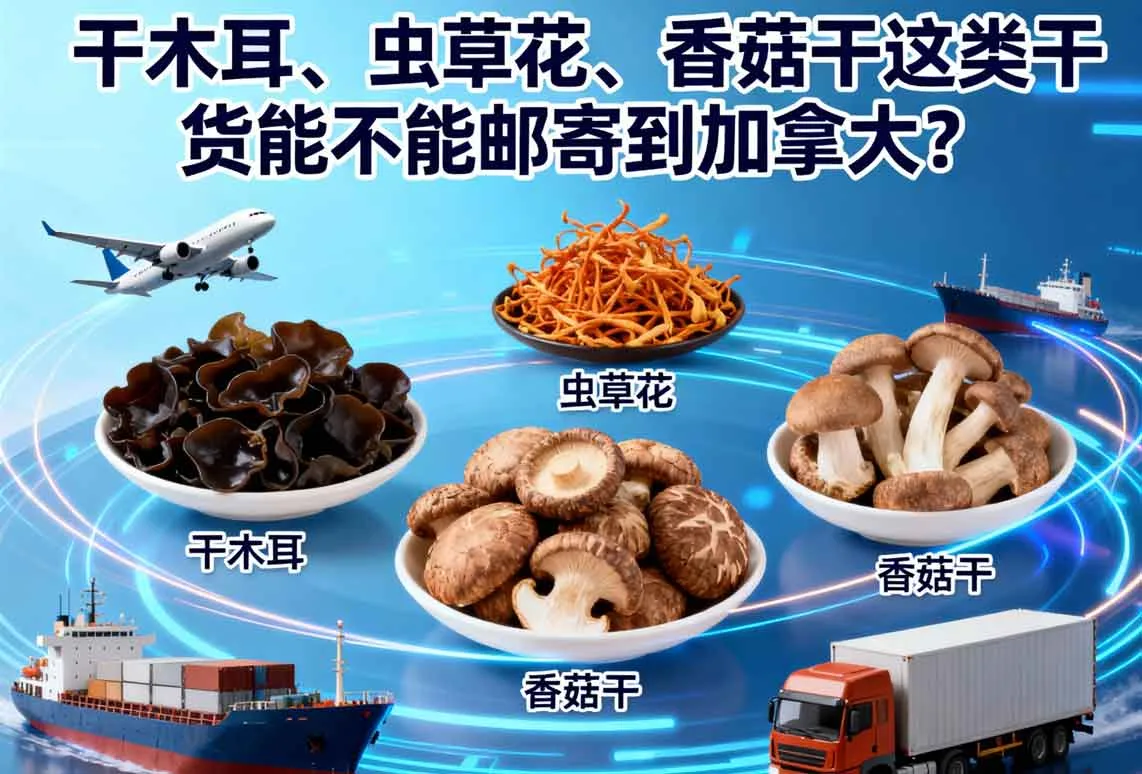 干木耳、虫草花、香菇干这类干货能不能邮寄到加拿大？